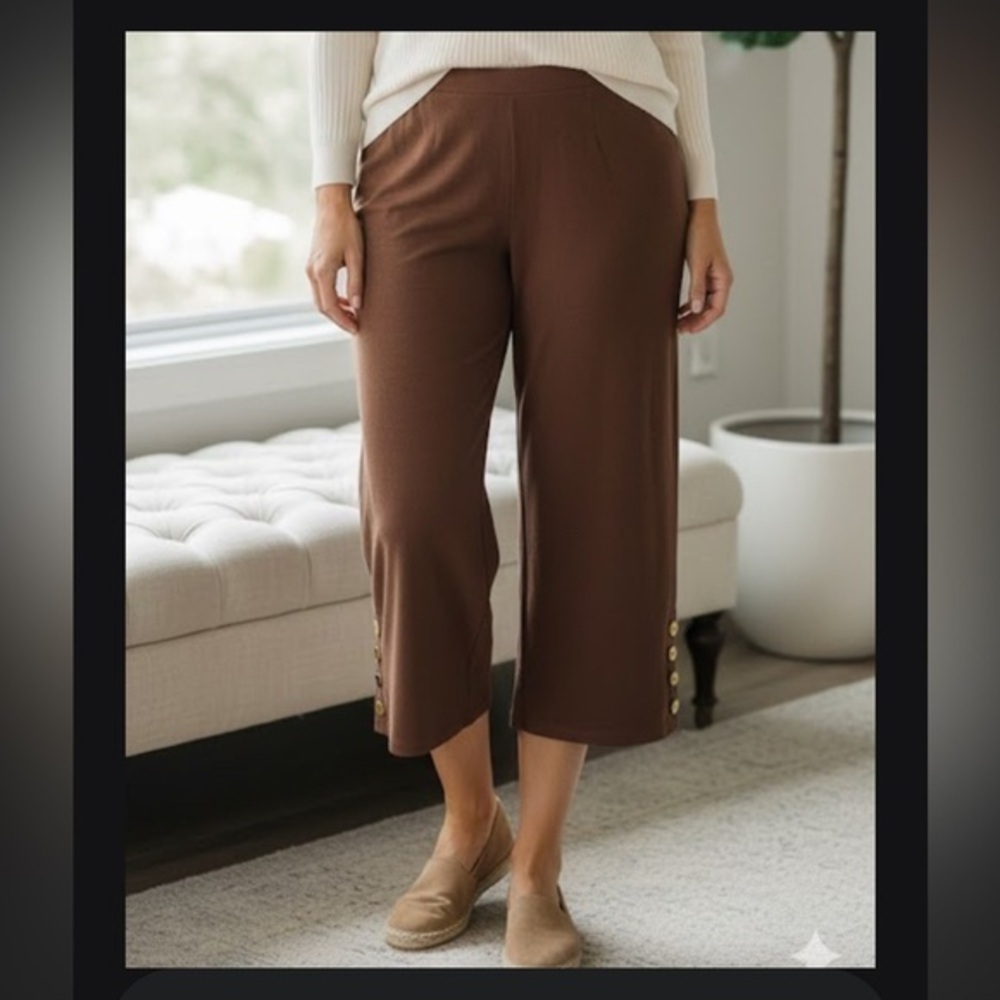 Chico's Rich Brown Pants